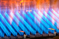 Duddlestone gas fired boilers